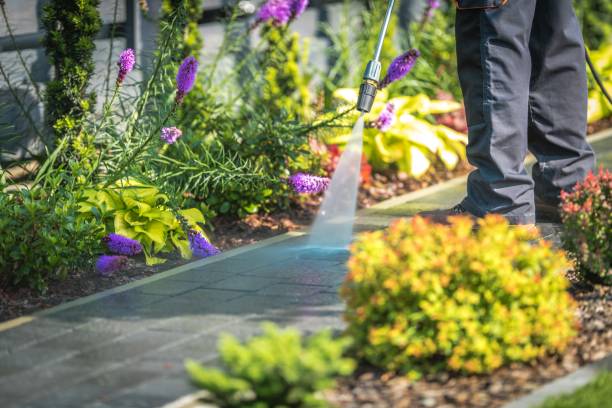 Best Dumpster Area Cleaning  in Apple Valley, CA